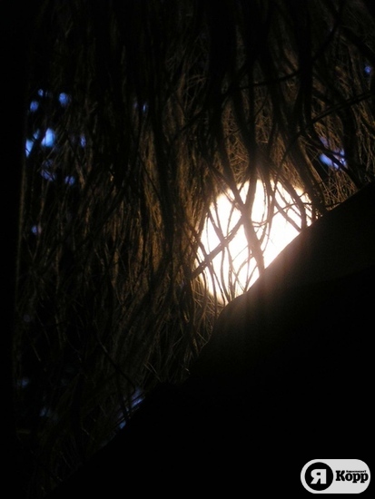 Мы, как и все!