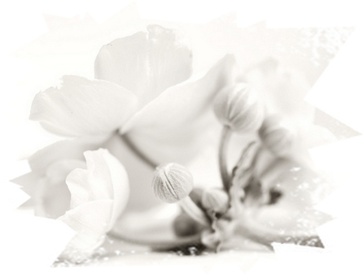 Белым по белому