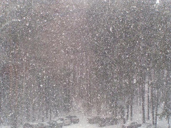 Ноябрь. снегопад