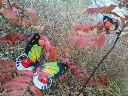 Бабочки на рябине