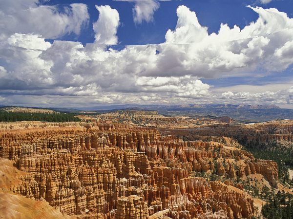 Незваные гости?..