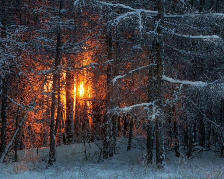 Неужели путь напрасен?