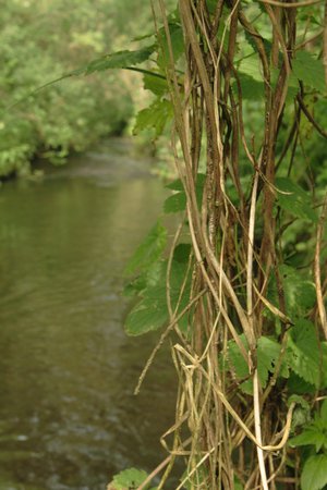 Ты не на дне!