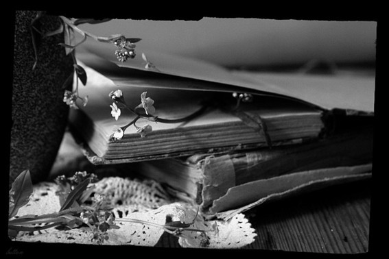 Не торопись пока мосты жечь...