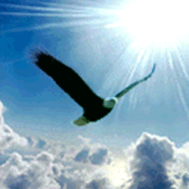 Одинокая душа