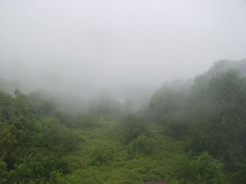 Откуда взялся Ёжик