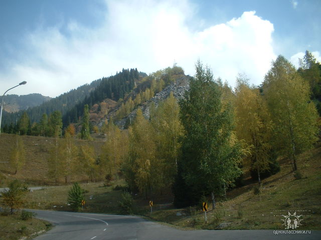 Для Виктора Давидзона