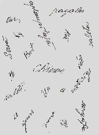 Цецилия Динере, Песня