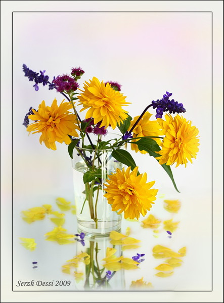 Не рвите цветы