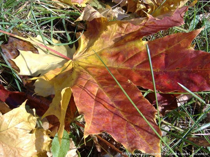 Уходит осень