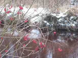 Калине хочется влюбиться