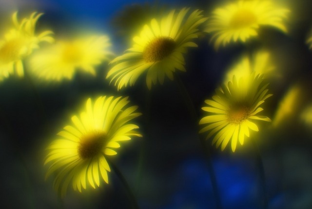 Встать ещё до рассвета...