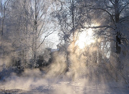 Шепну Я здесь