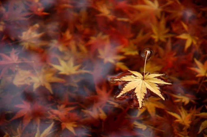 Этот чудесный день...