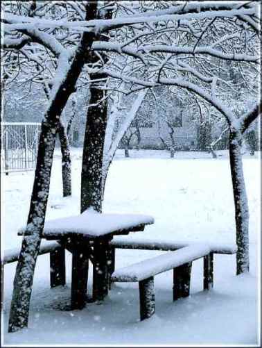 Первый снег