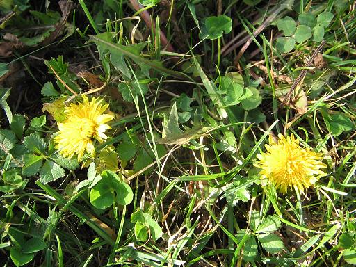 Обращаюсь к ветрам