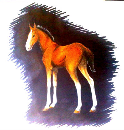 Зеленый пес