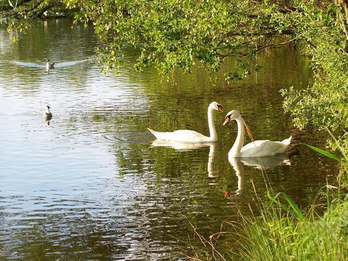 Женская чувствительность