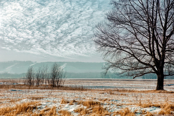 Первый снег