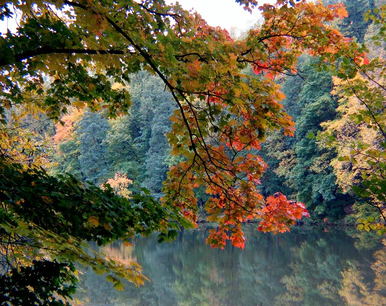 Даров раскрыла покрывало