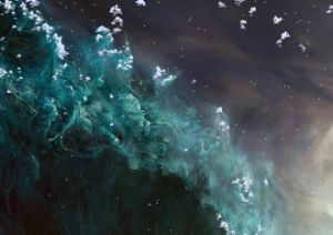 Дикий январь