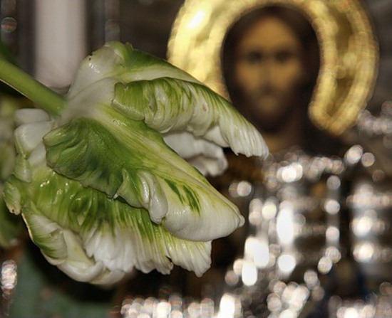 Мой дар, наверное, от Бога