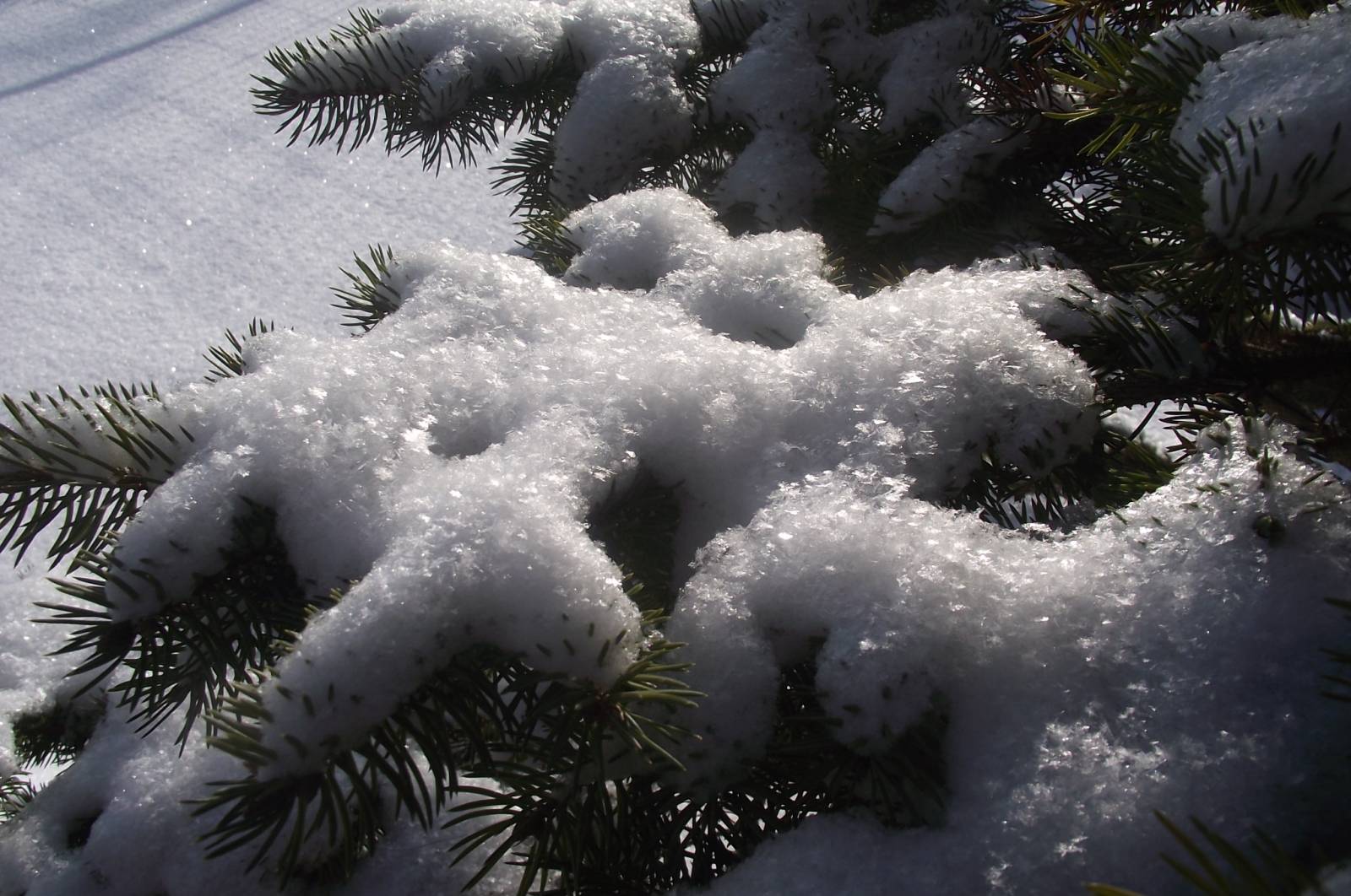 мне приснился запах снега