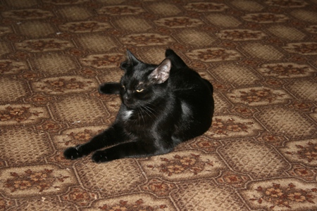 На злобу дня!