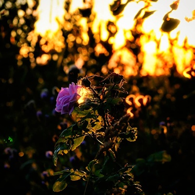 Потери и находки