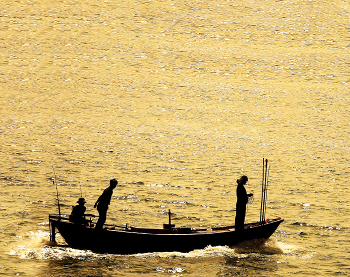 Бумажный дракон