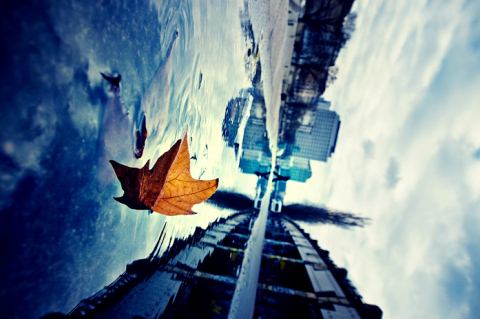 На безлюбье