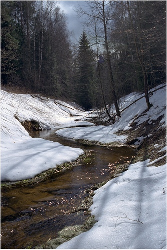 Весна пришла