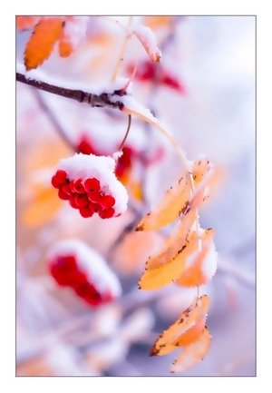 чувства в феврале