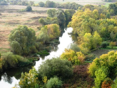 Бестолковая пара