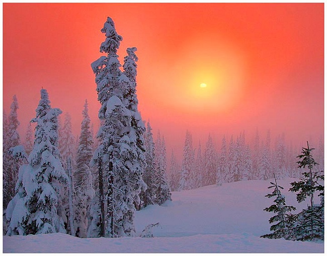 Холодный сон