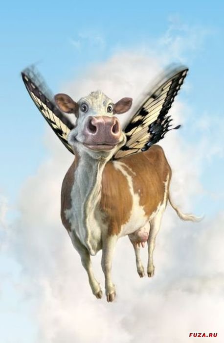 Песенка судьи. как пишется приговор