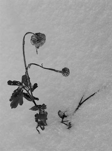 Как странно..!