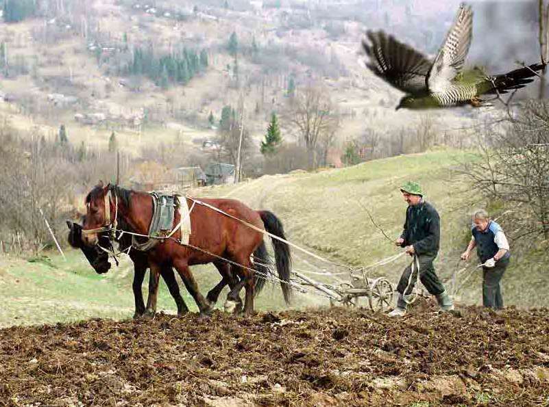 Весна