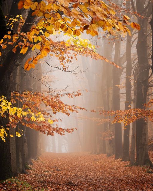 В душе моей неизгладимо