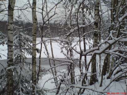 Перед бурей