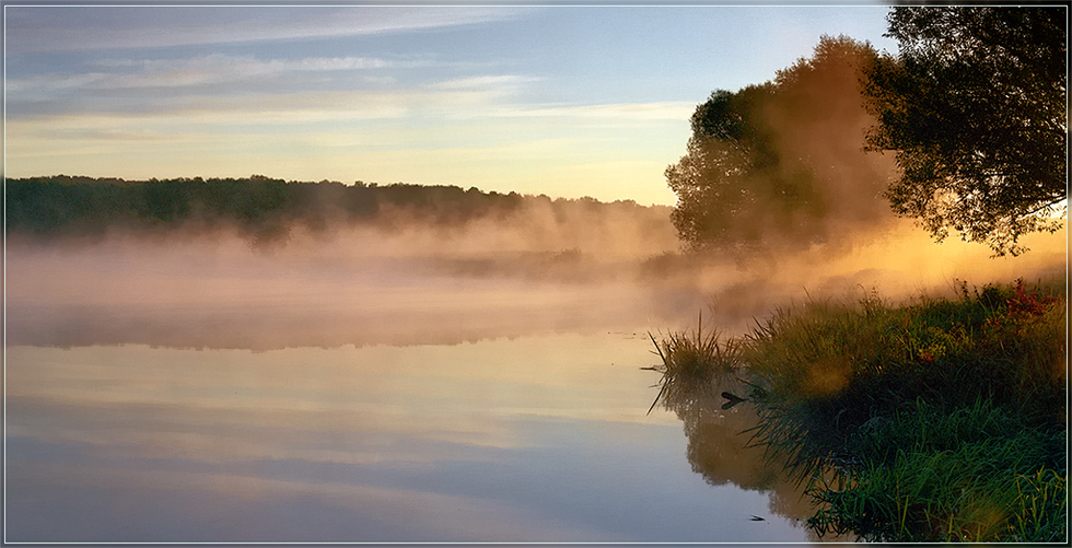 Сквозь туман стихотворение. Наслаждаясь тишиной природы 🌿💧 #отдыхвприроде #зелень #воднаягладь. 16 Лучей солнце над гладью воды.