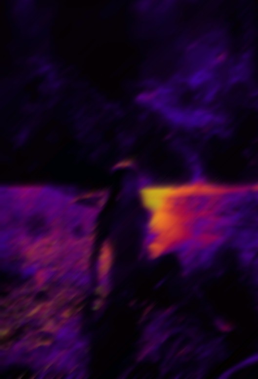 Белой птице посвящается