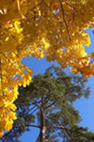 Привет тебе