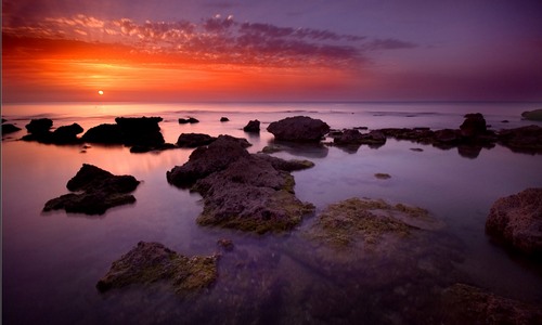 Встреча весною