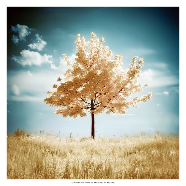 Я знаю, что мы всё переживем...