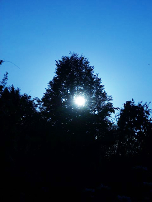 Путешествие вглубь. 2008г