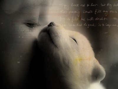 В следующей жизни