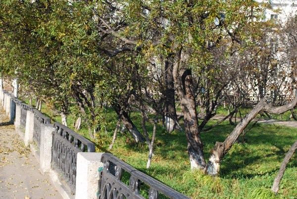 Осенний ноктюрн