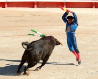 Осенняя ферия