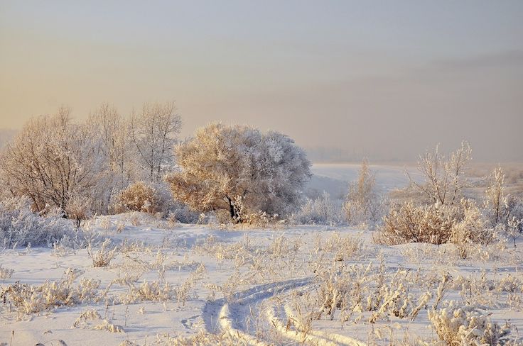 Мчится вьюга вдаль, вперёд